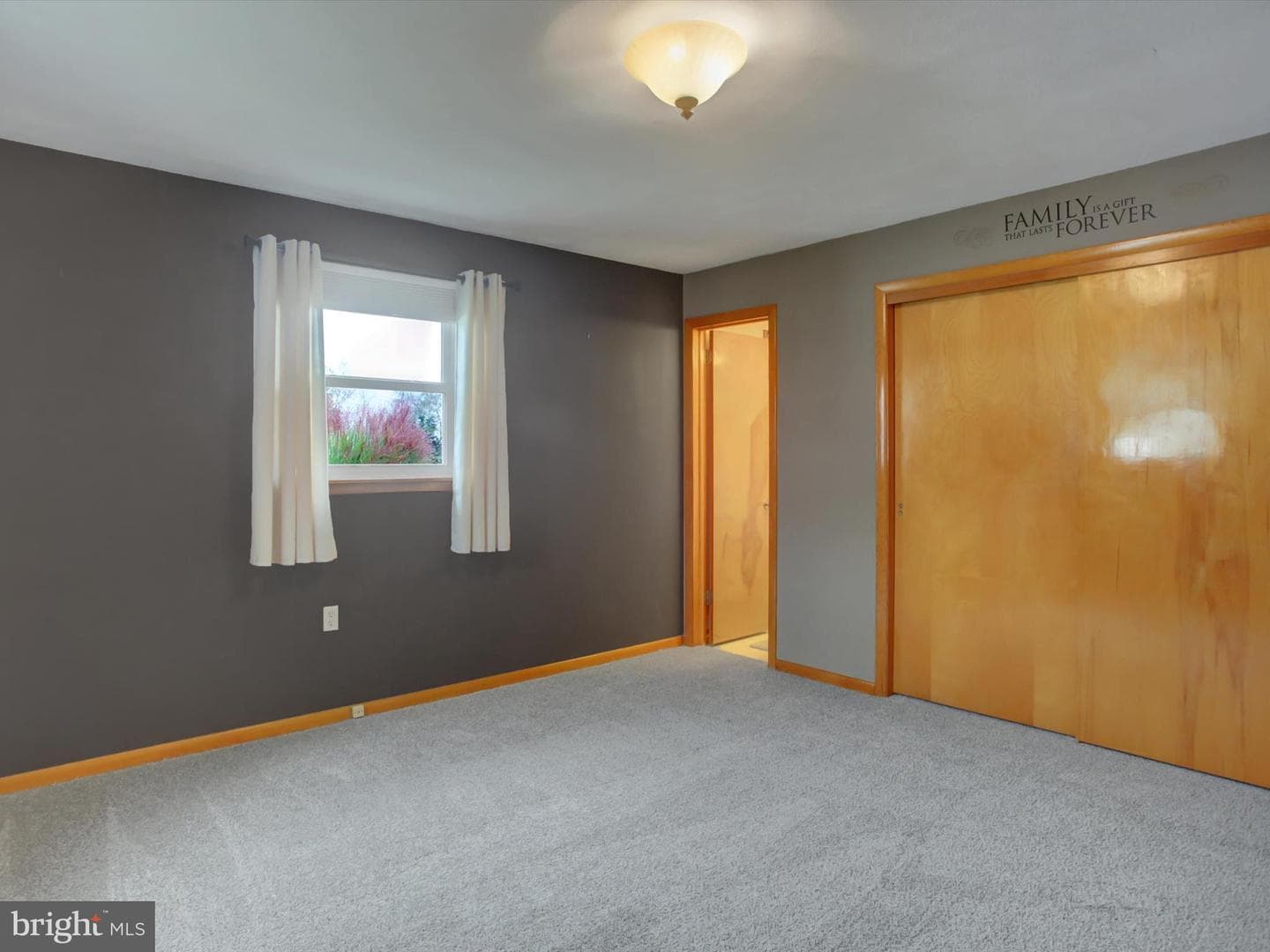 159 Jackson Drive photo 24
