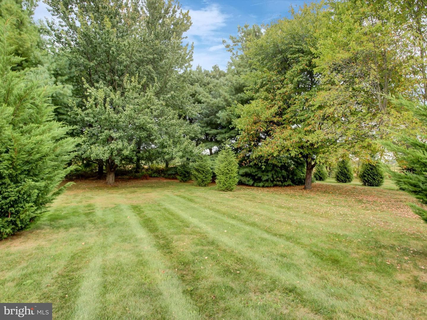 159 Jackson Drive photo 43
