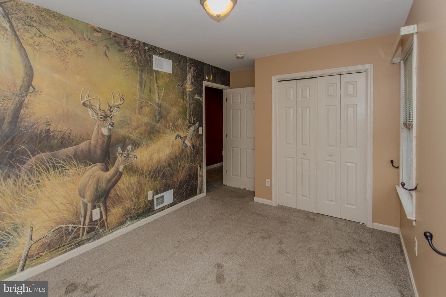 11268 Thornwood Road photo 34