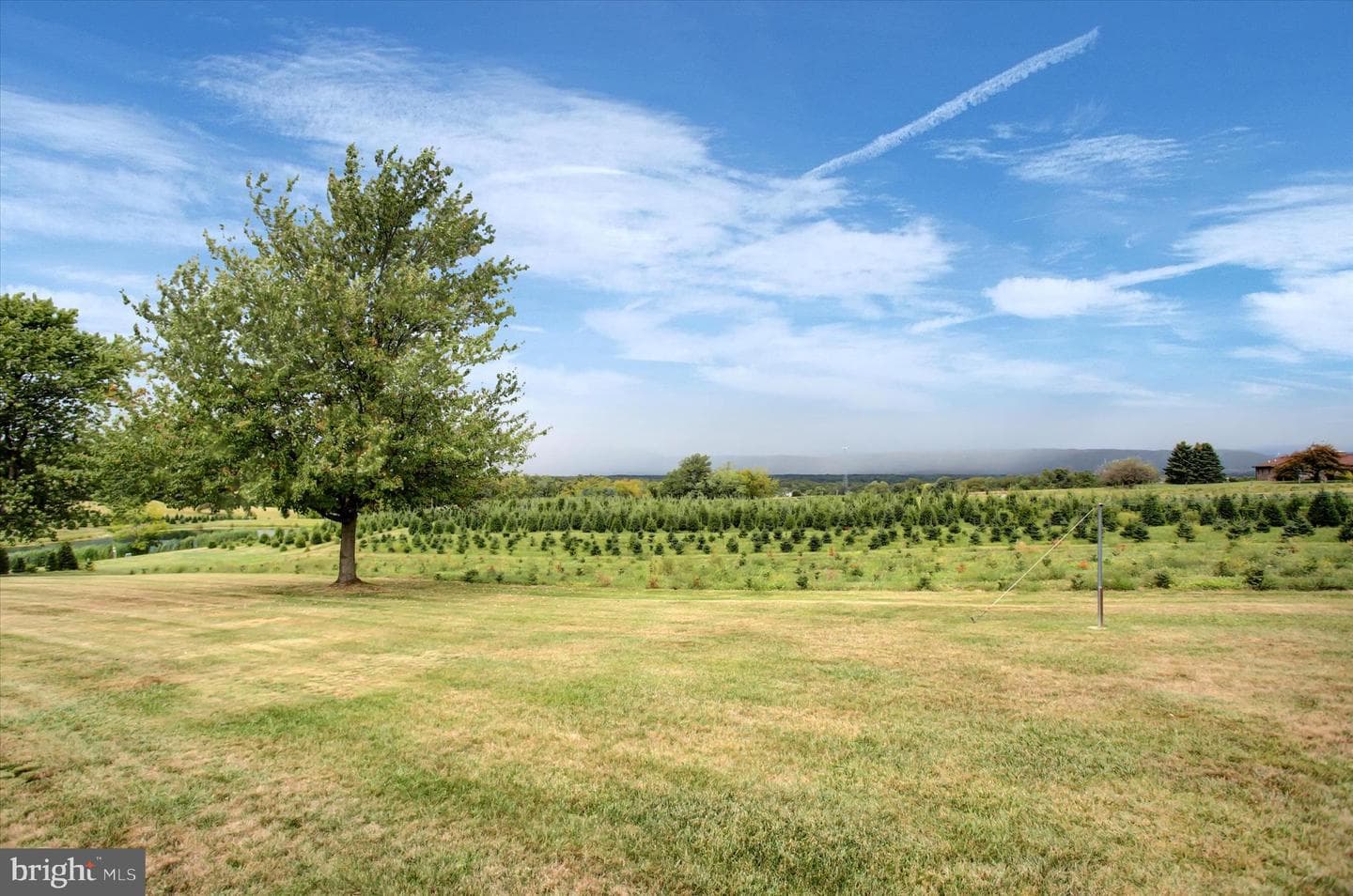 7471 Smith Road photo 35