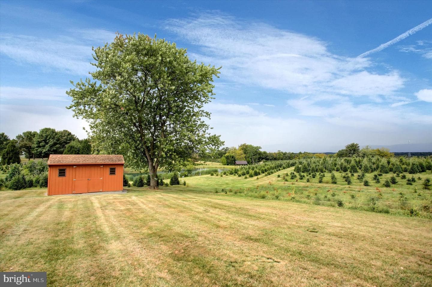 7471 Smith Road photo 37