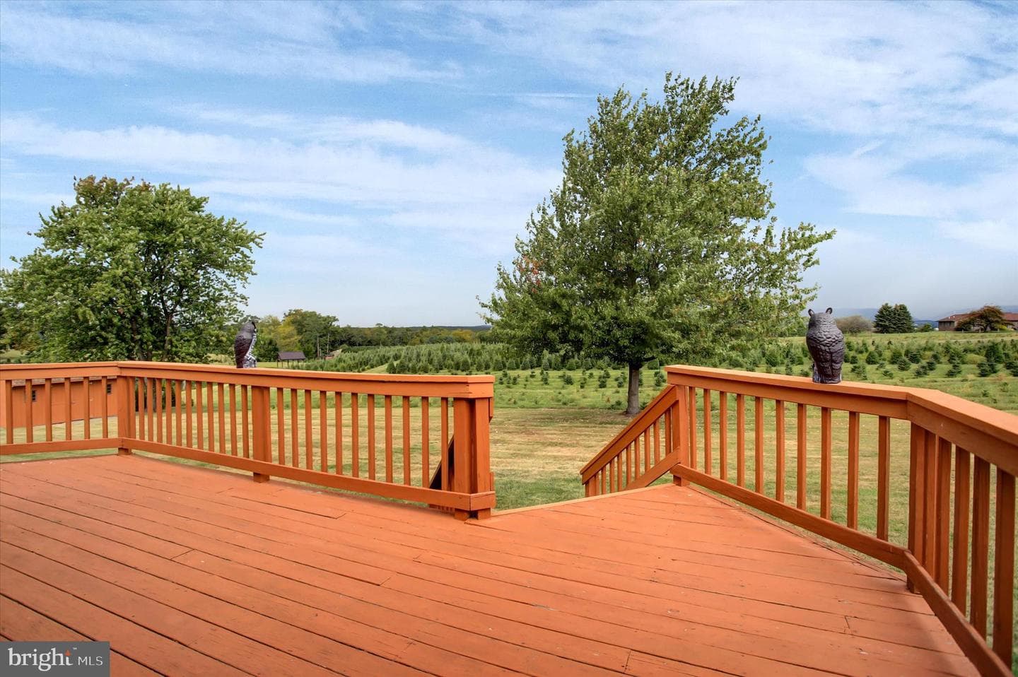 7471 Smith Road photo 39