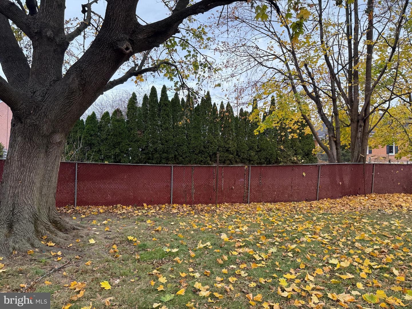34 Clayton Avenue photo 3
