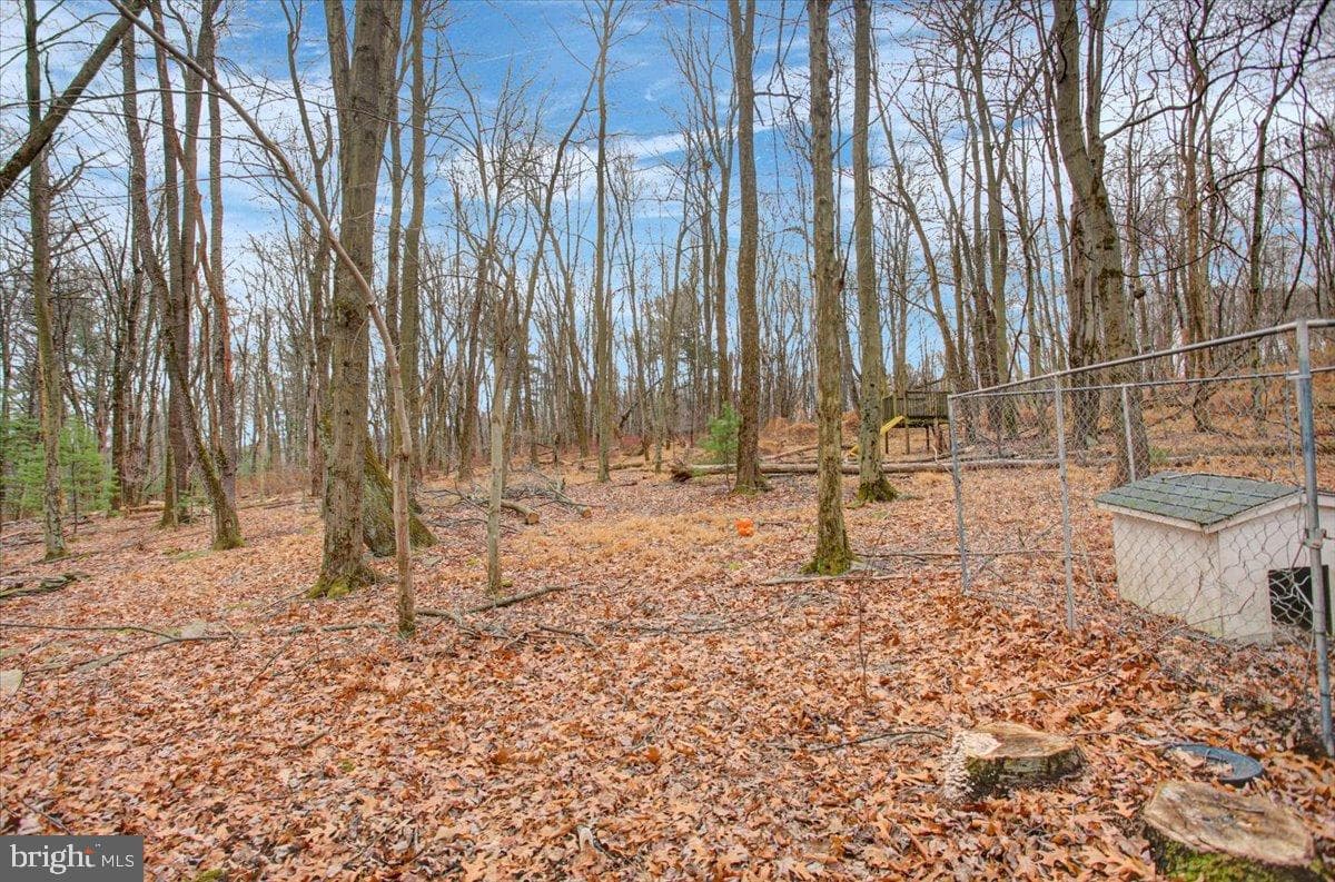 10744 Coral Ridge Road photo 36