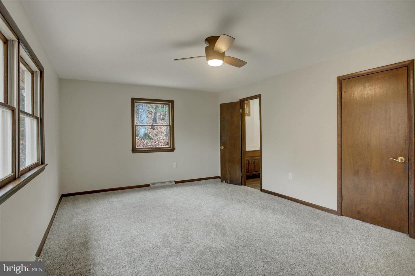 8147 Michaux Drive photo 15