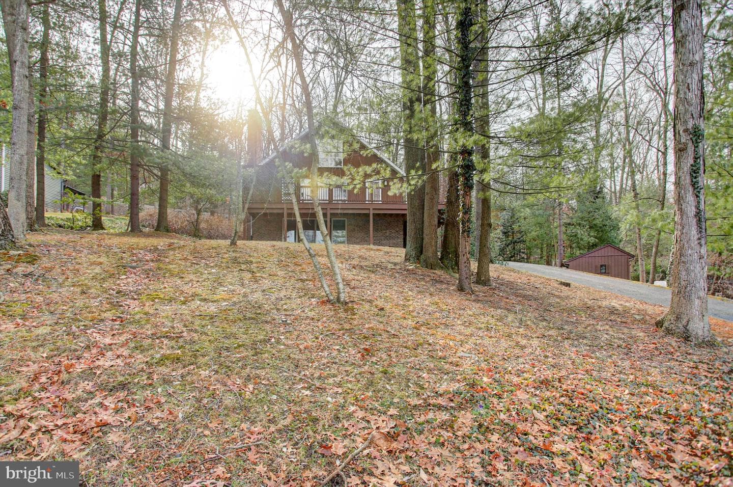 8147 Michaux Drive photo 2