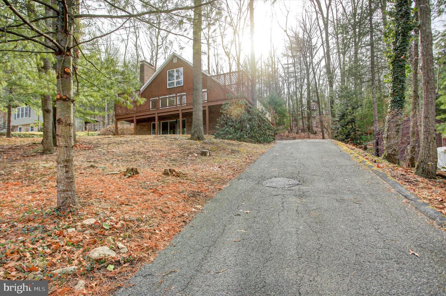 8147 Michaux Drive photo 3