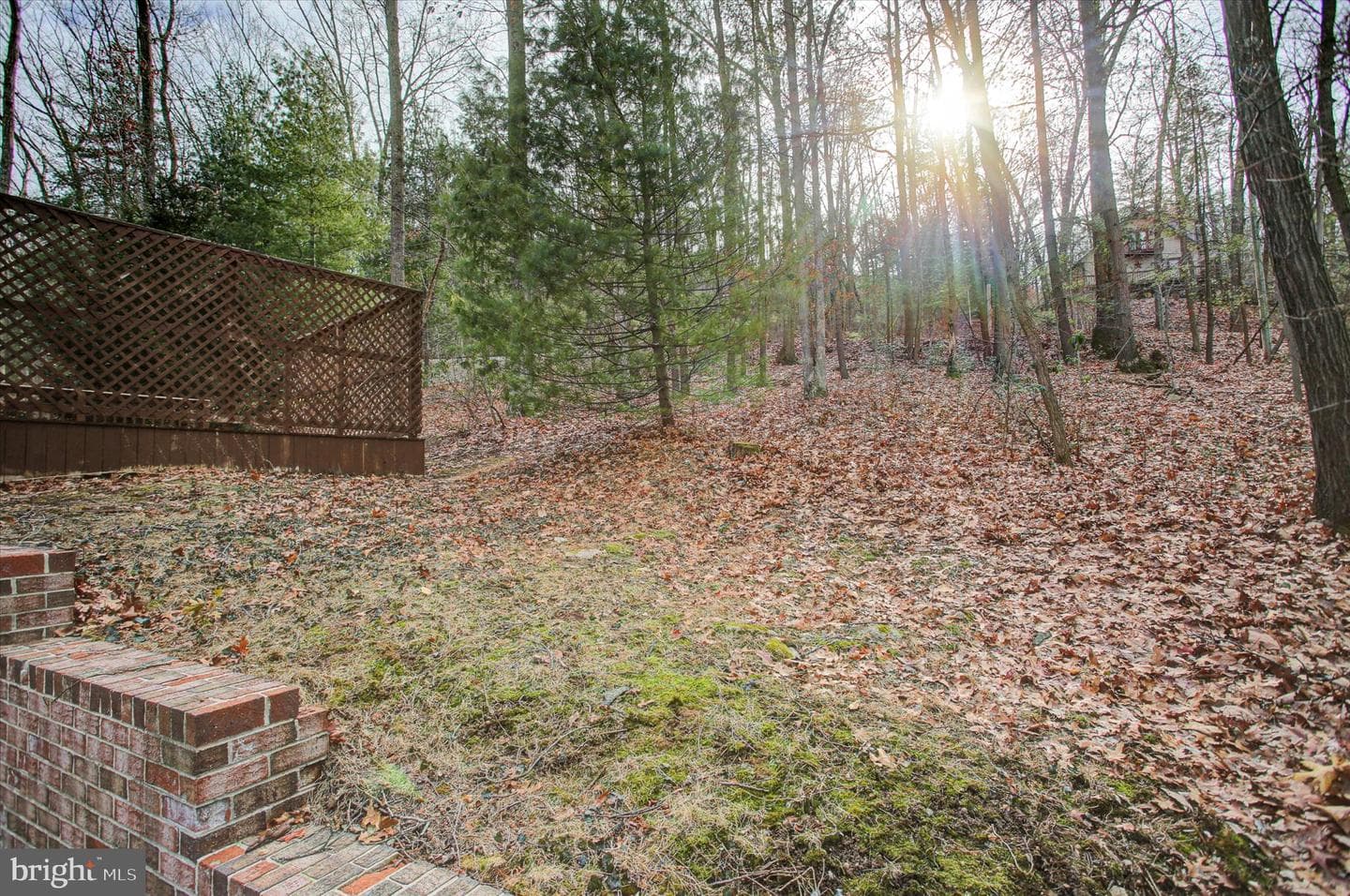 8147 Michaux Drive photo 37