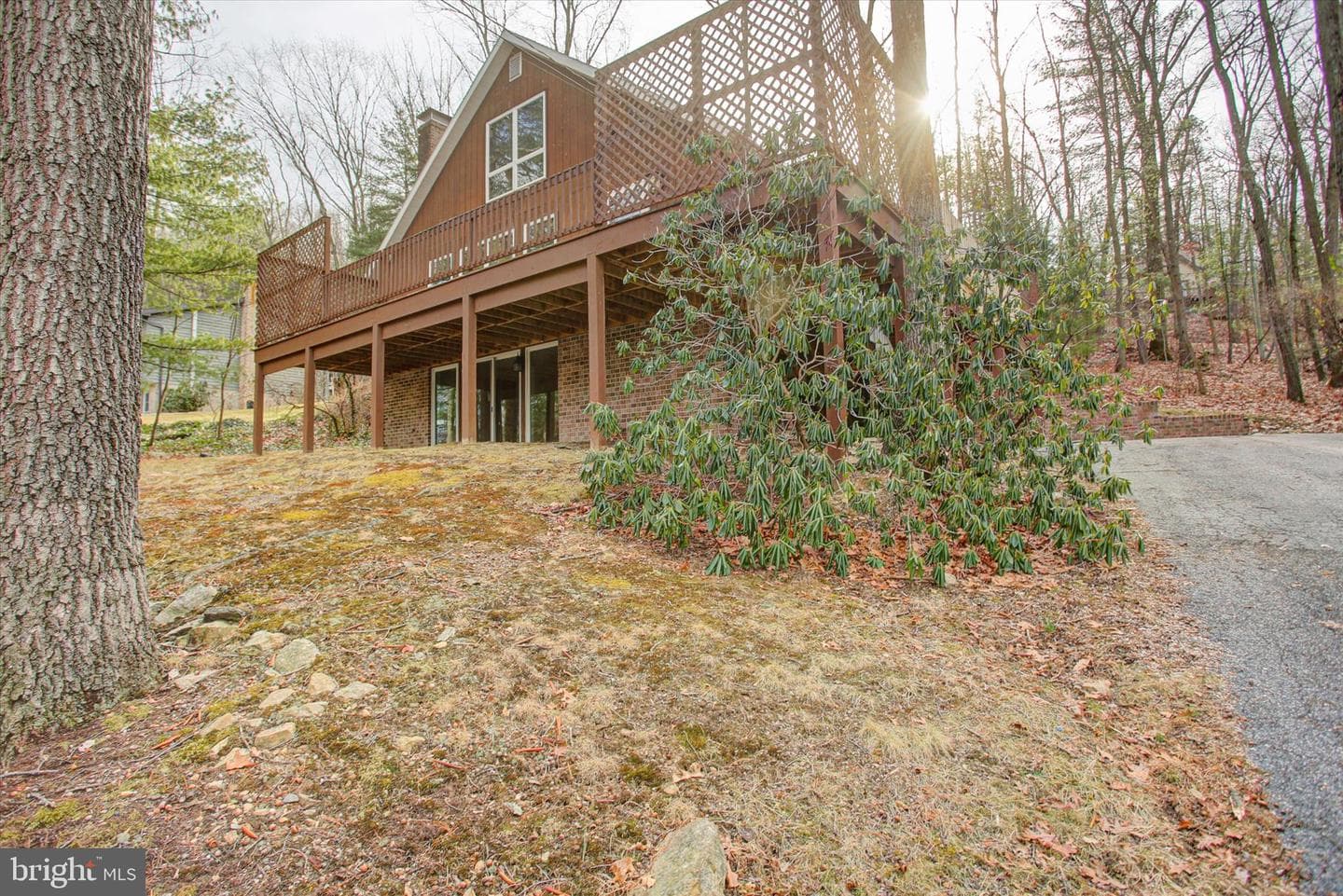 8147 Michaux Drive photo 4