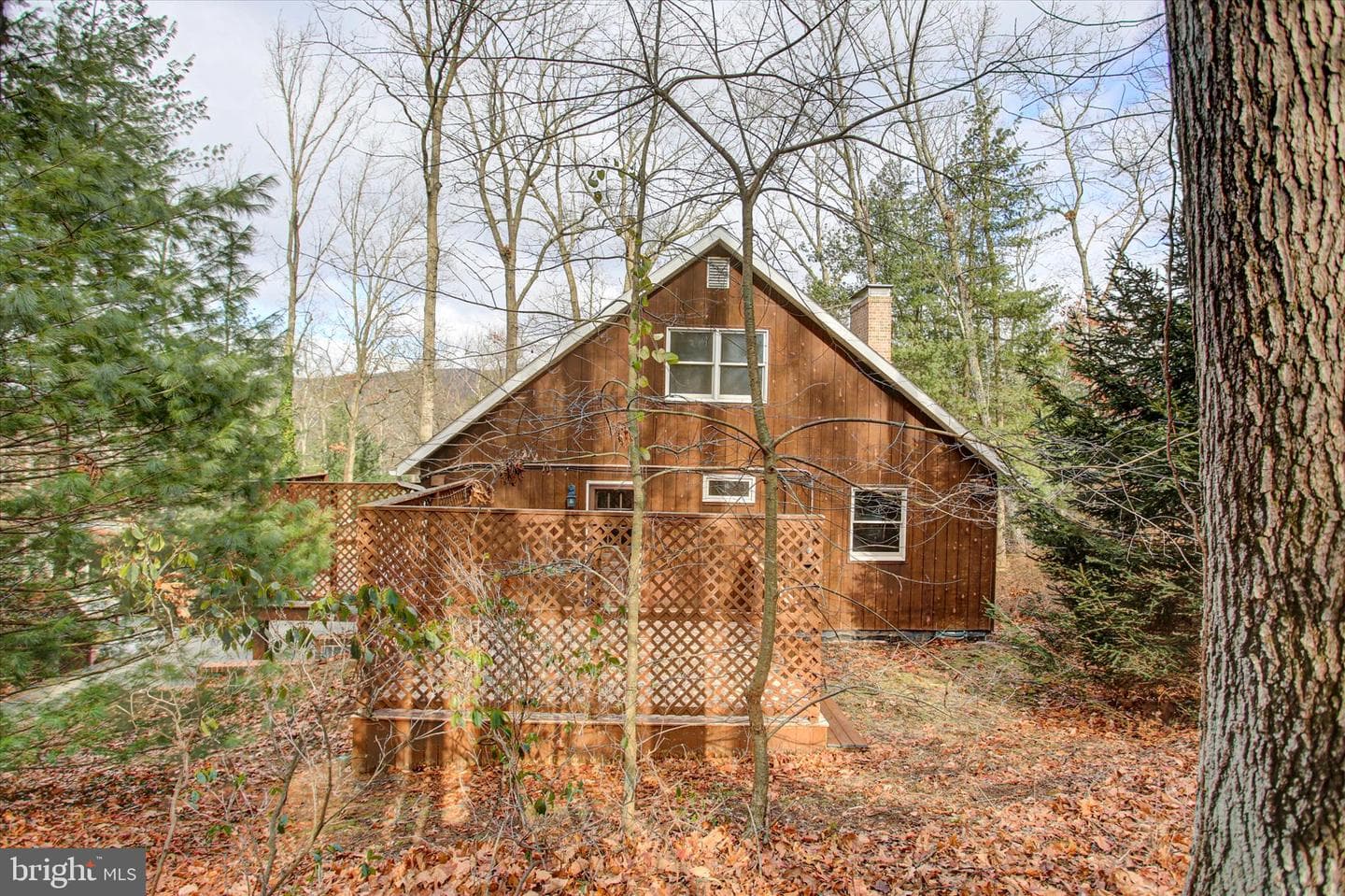 8147 Michaux Drive photo 41