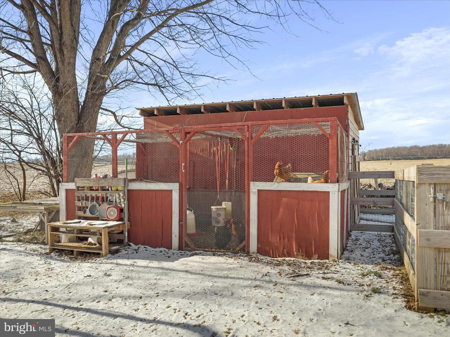 5871 Olde Scotland Road photo 27