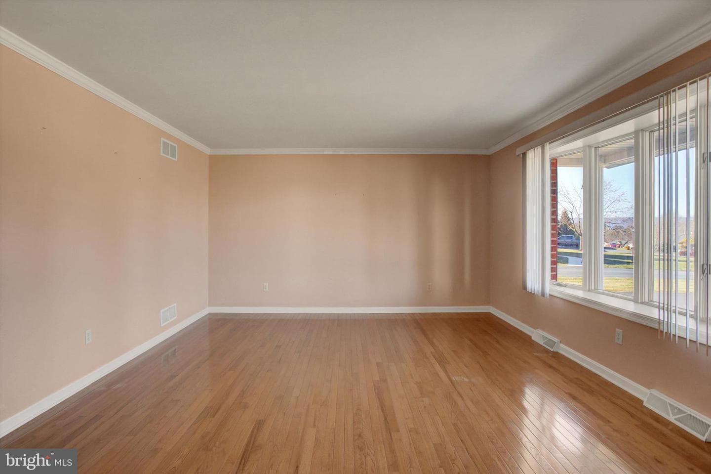 722 Mahantango Drive photo 9