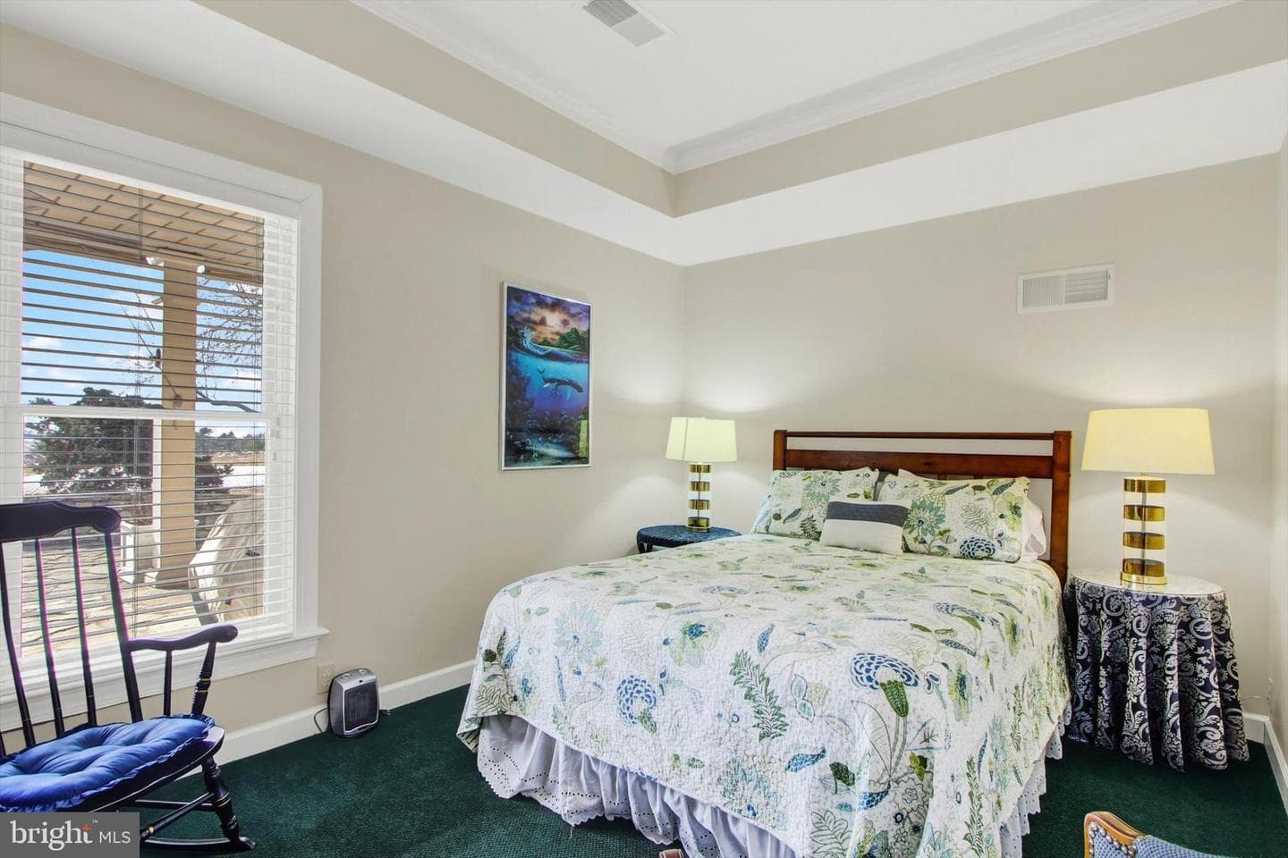 6732 St Annes Drive photo 46