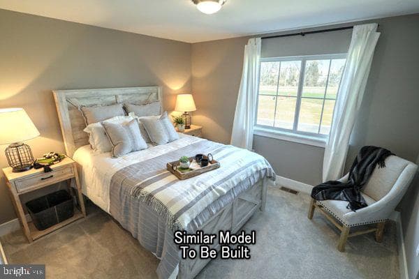 Revere Plan At Hickory Pointe photo 35