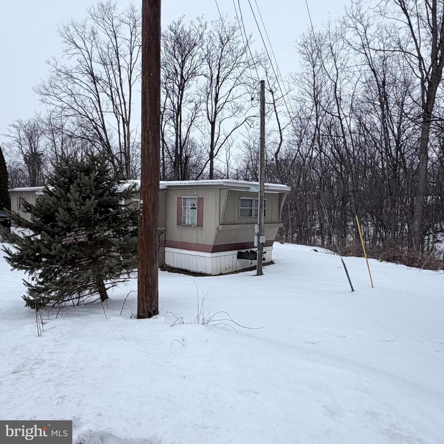 1437 Pleasant View Drive photo 3