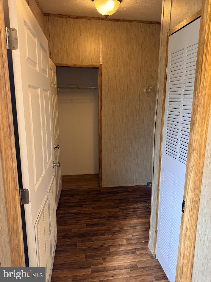 38 Maizefield Drive photo 20