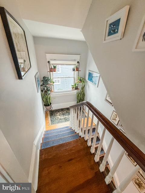 105 Linden Avenue photo 21