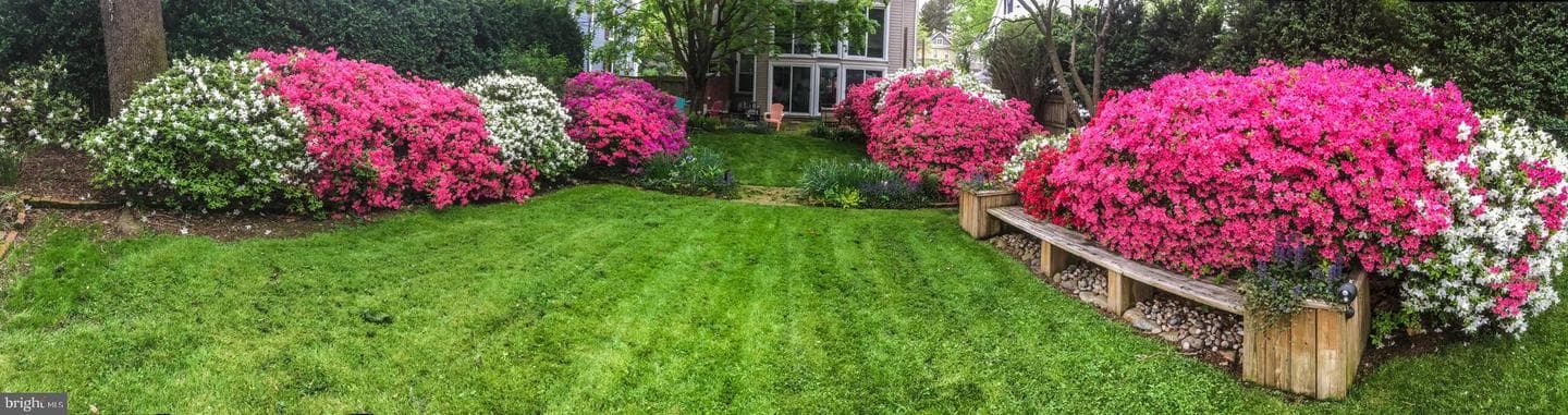 105 Linden Avenue photo 39