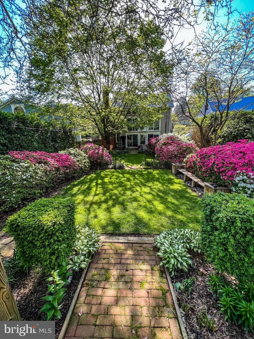 105 Linden Avenue photo 41