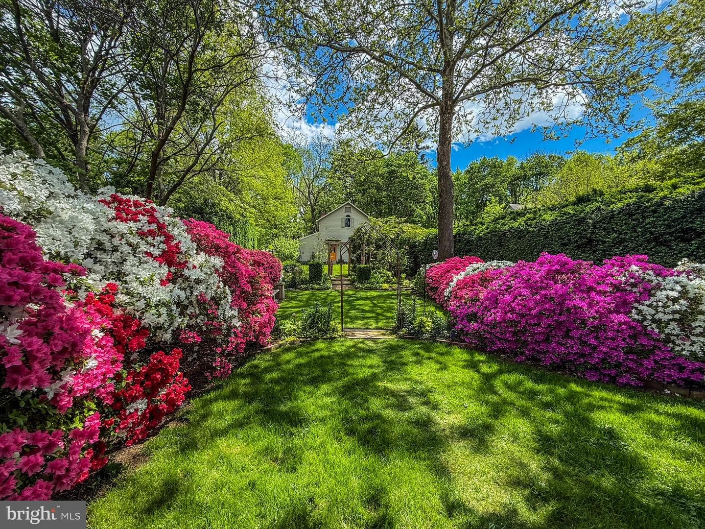 105 Linden Avenue photo 42