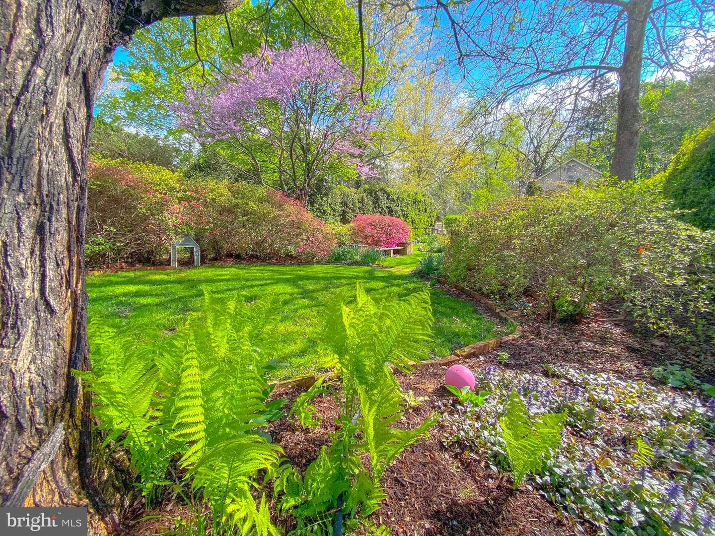 105 Linden Avenue photo 45
