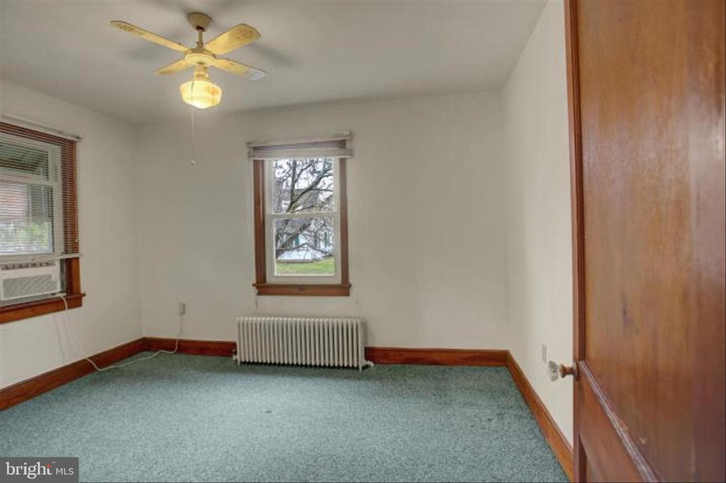 209 Homewood Avenue photo 19