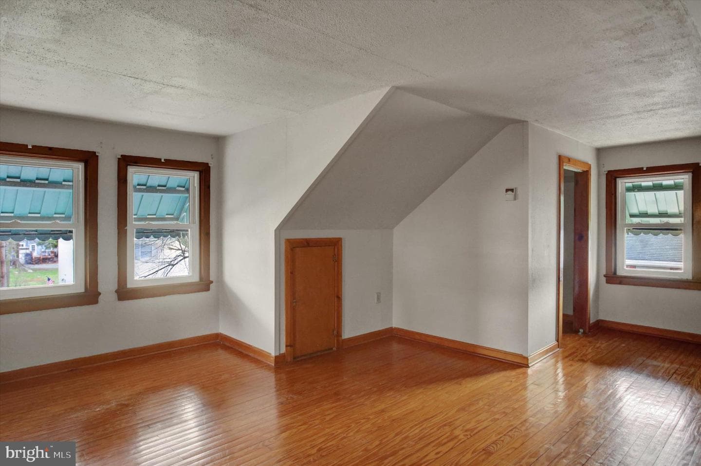 209 Homewood Avenue photo 22