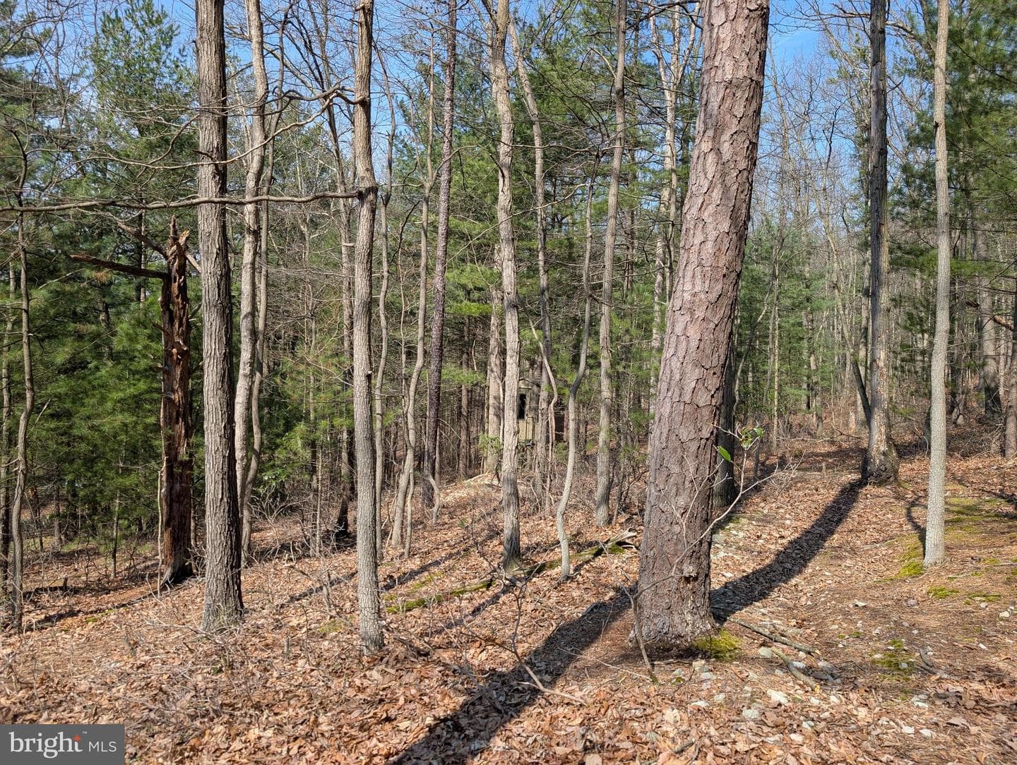 7895 Stump Run Road photo 10