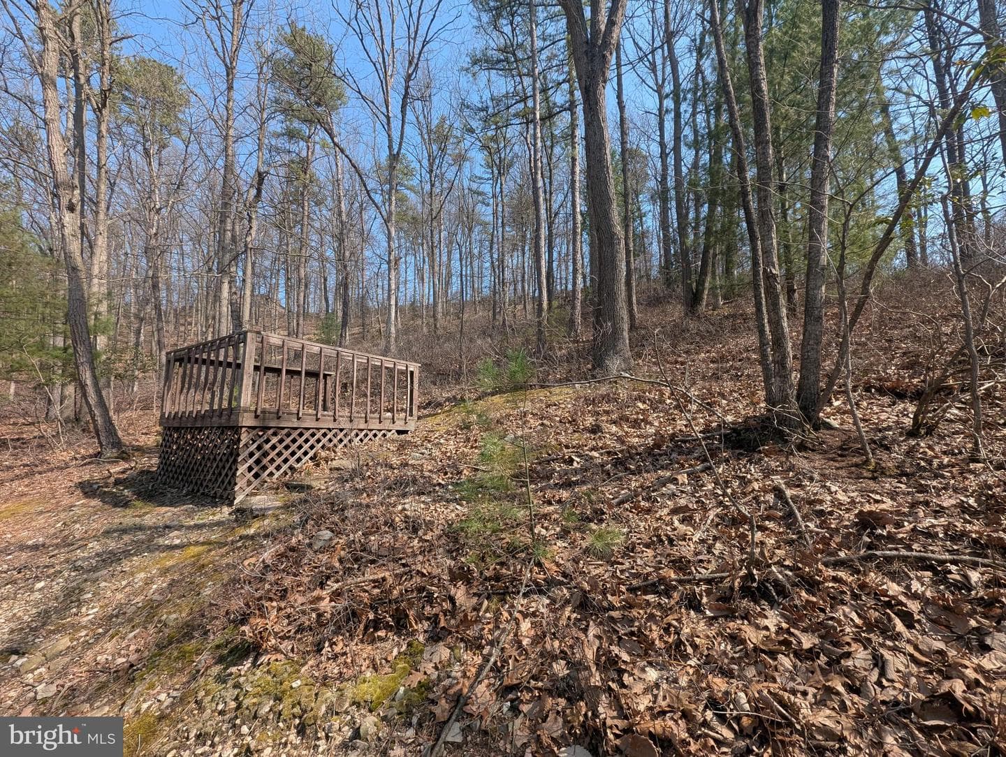 7895 Stump Run Road photo 47