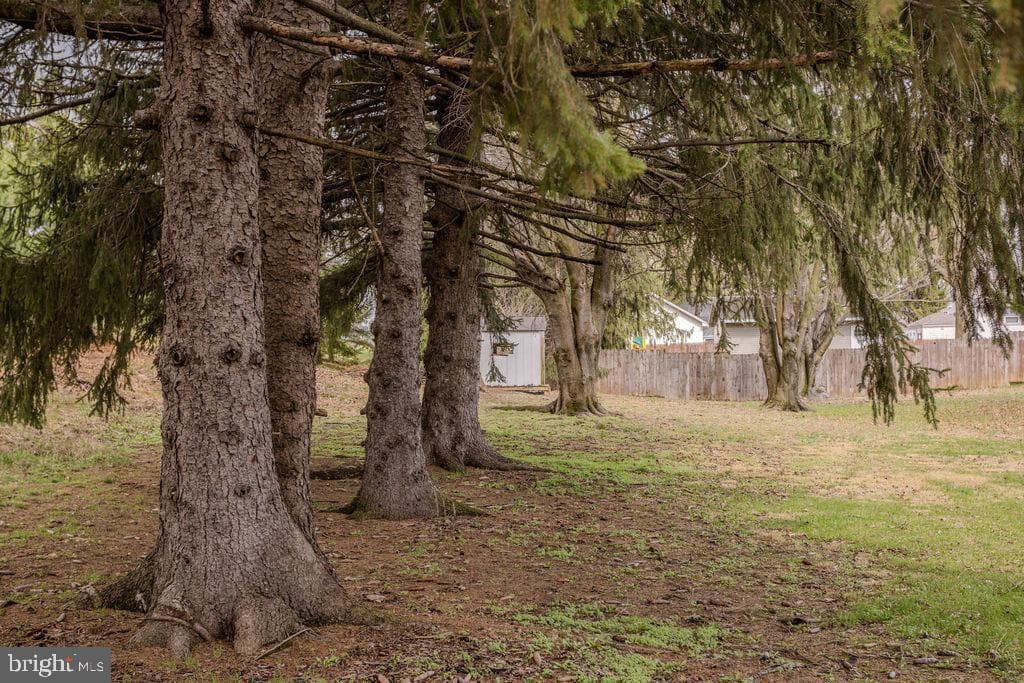 515 Mainsville Road photo 8