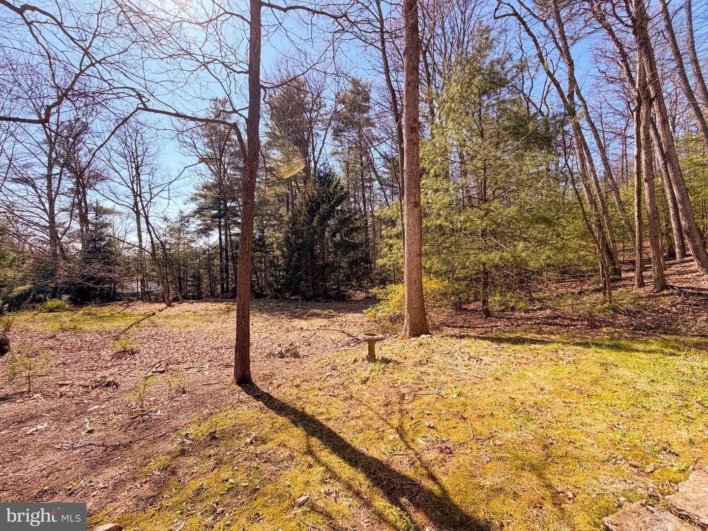 1343 &amp; 1353 Houser Road photo 58