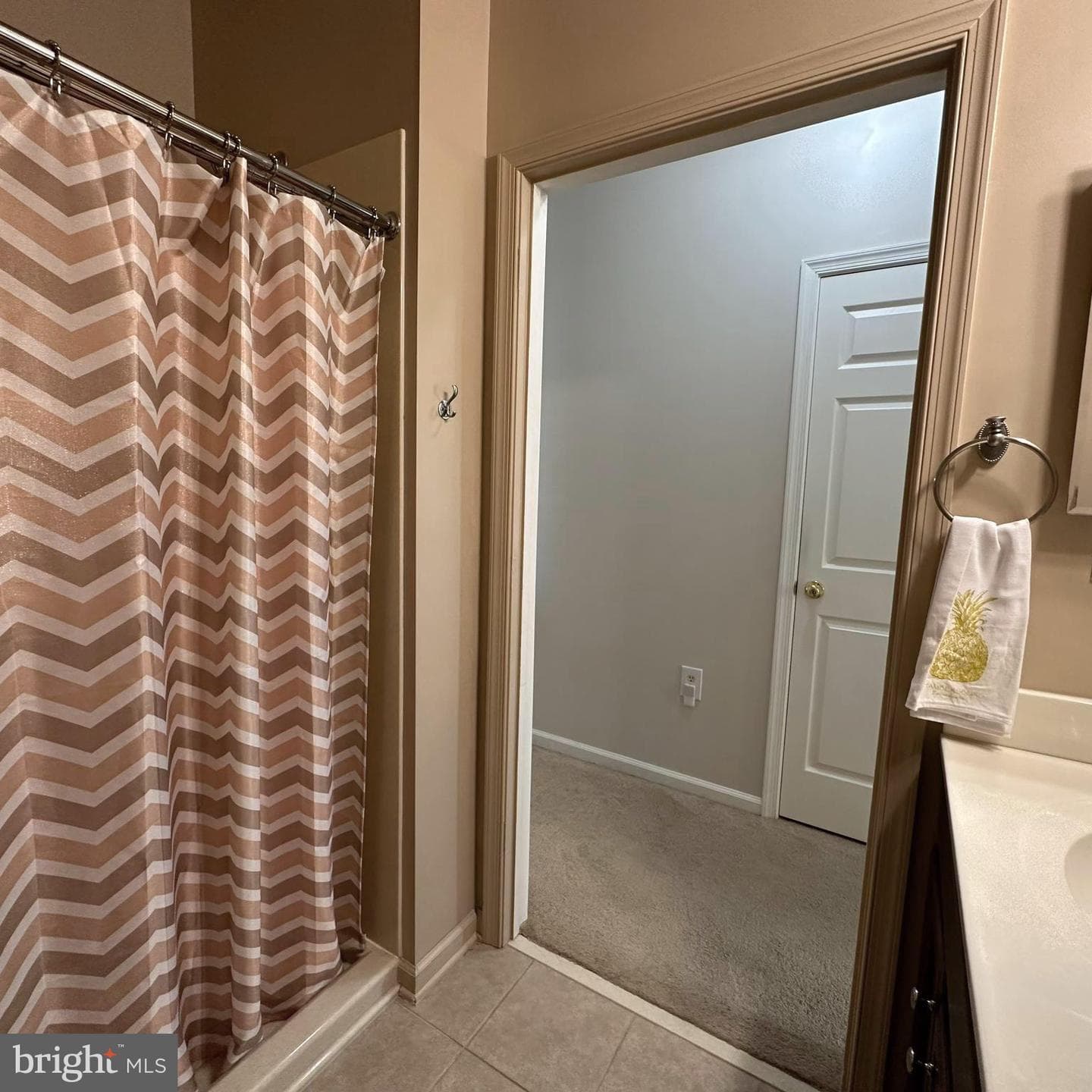3320 Portrait Way photo 17