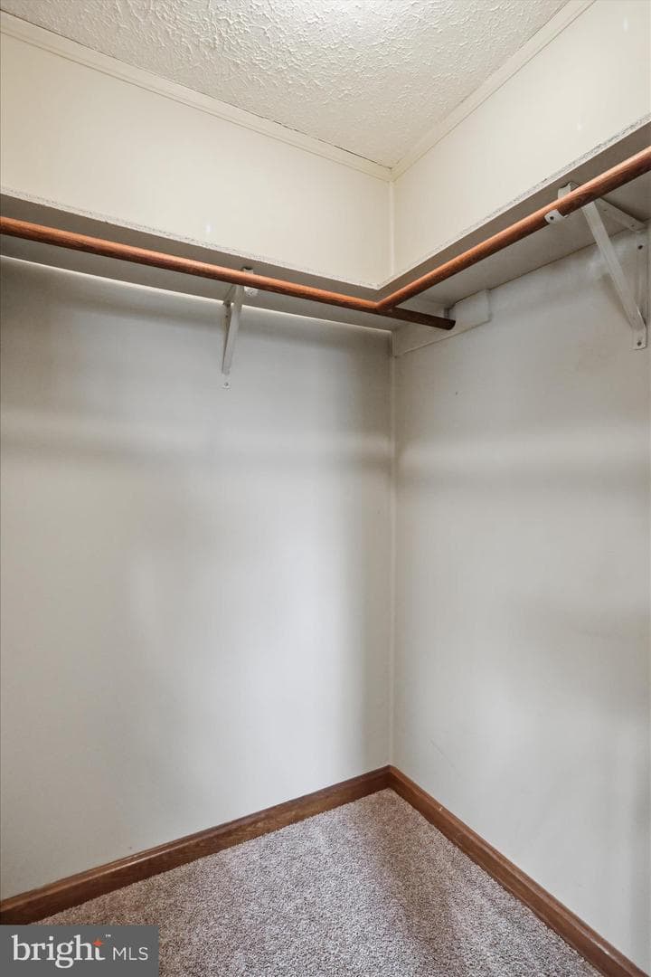 99 Jameslee Drive photo 20