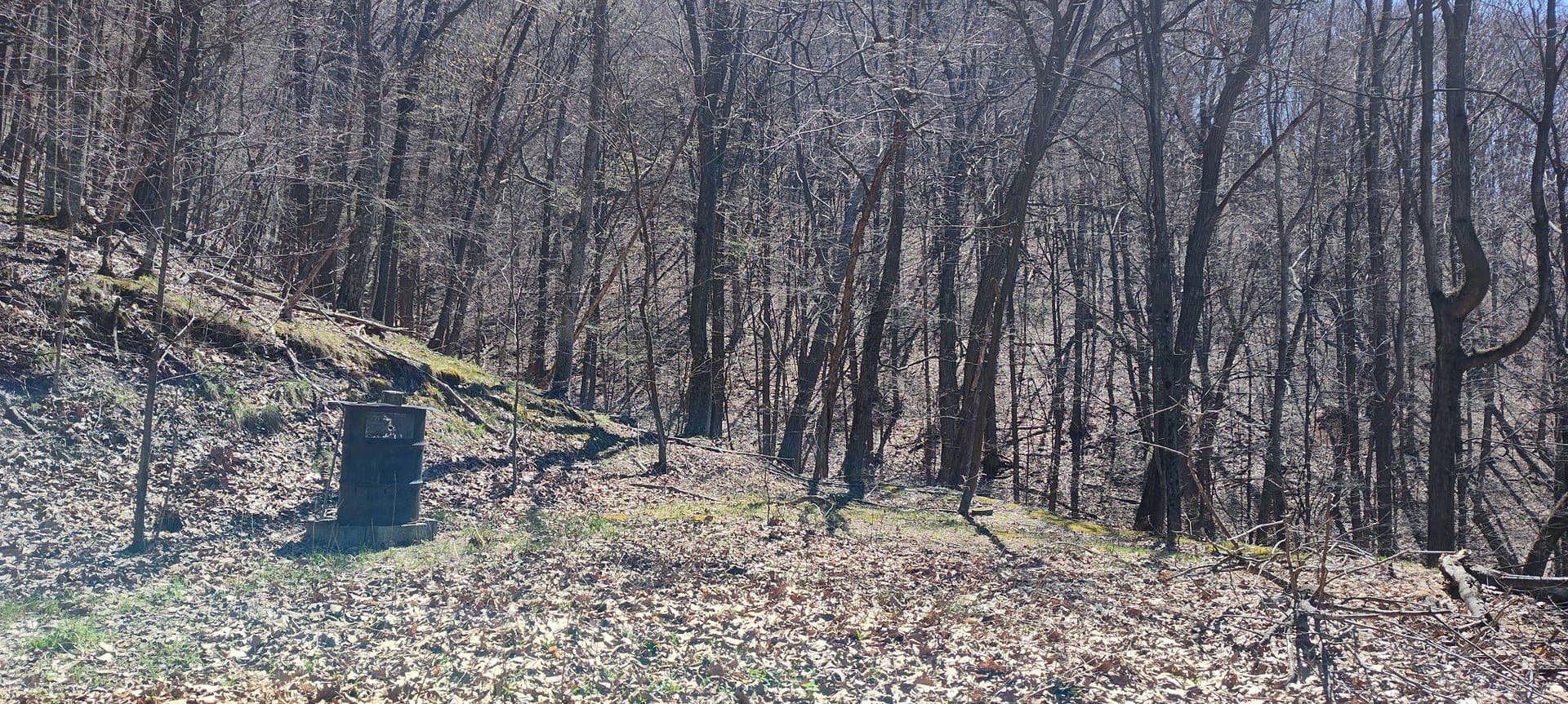 22000 Horse Valley Road photo 15