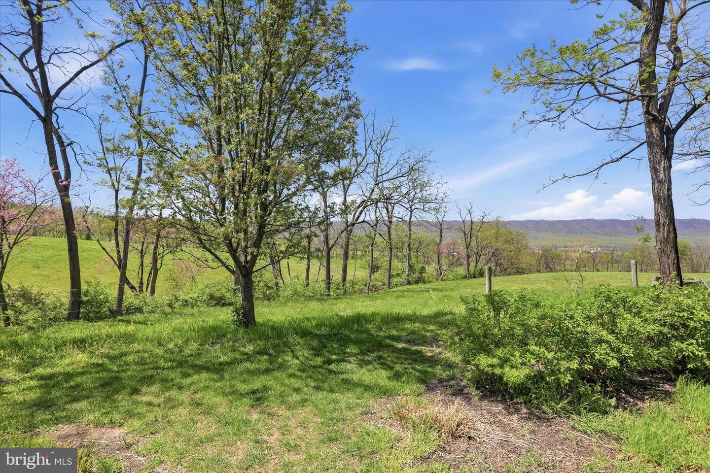 10979 Deerwood Drive #30 photo 46