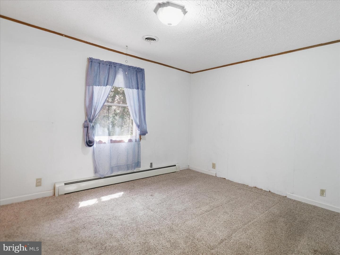 16167 Scribey Road photo 29