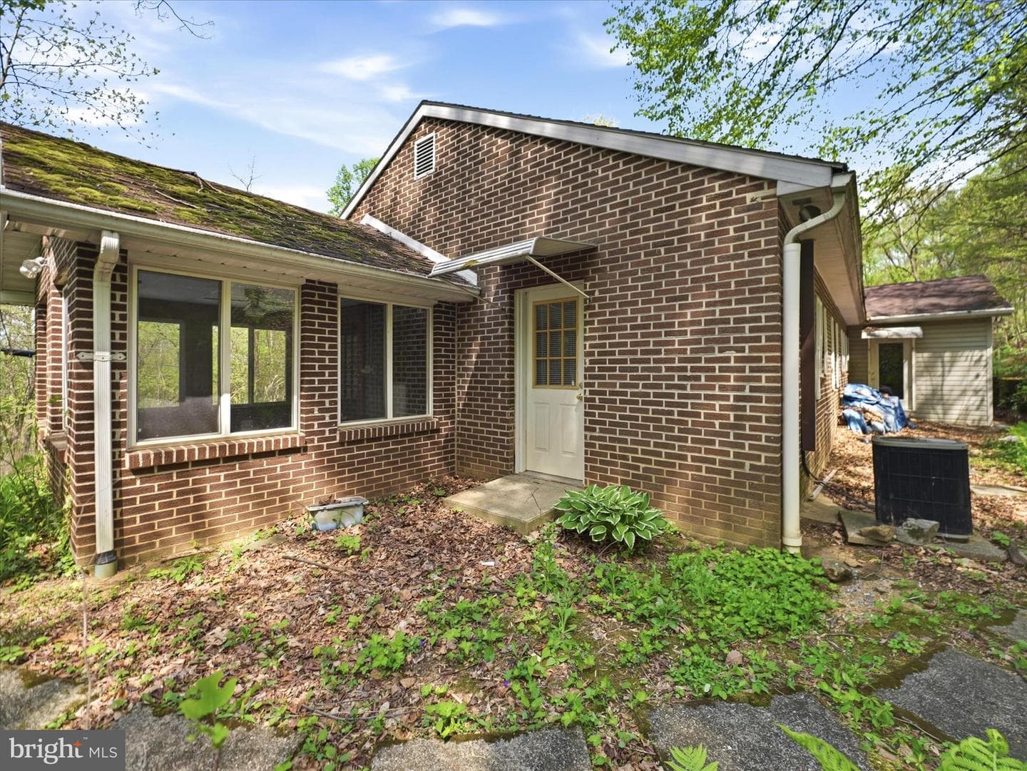 16167 Scribey Road photo 43