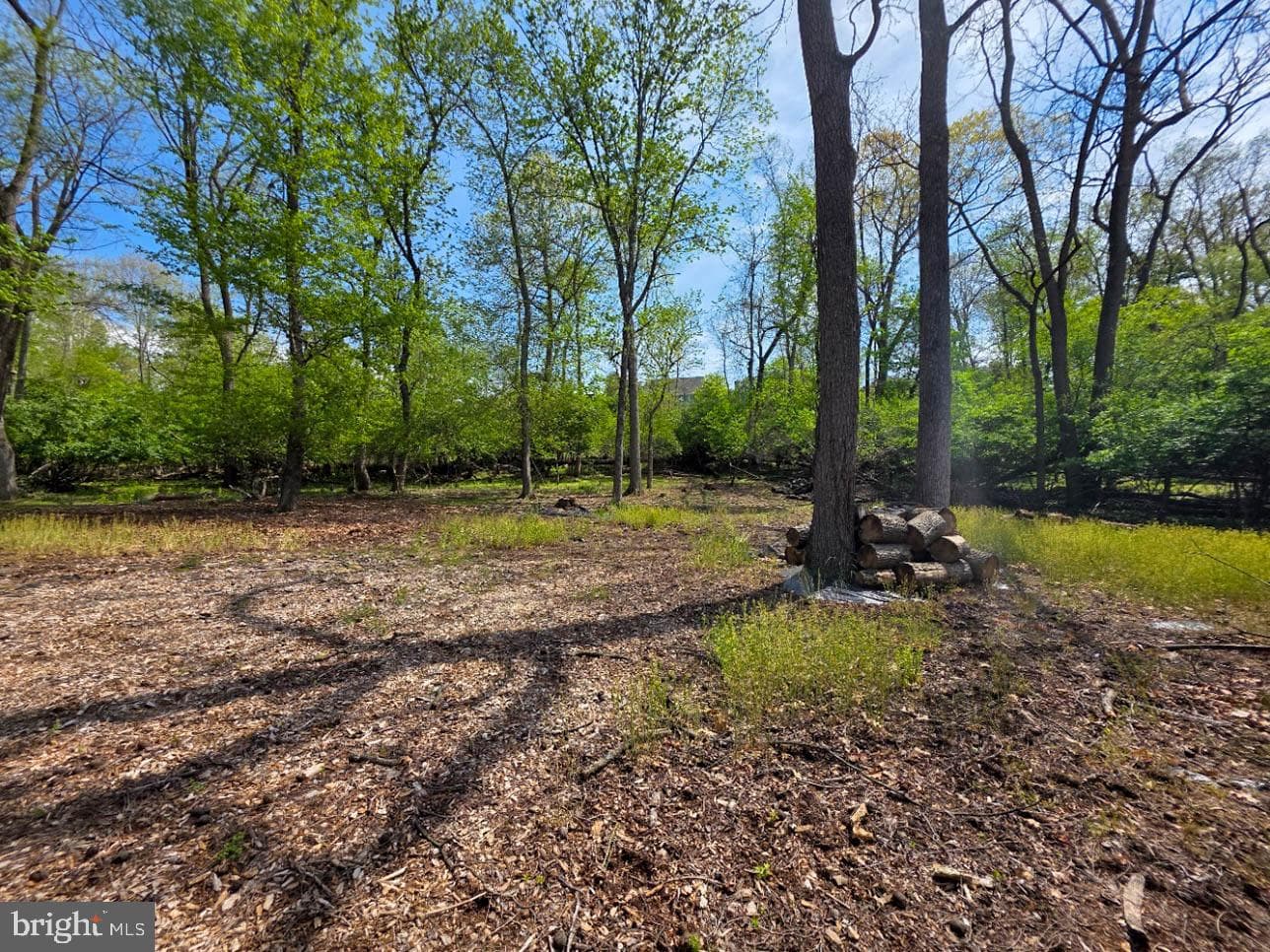 10984 Old Forge Road photo 24