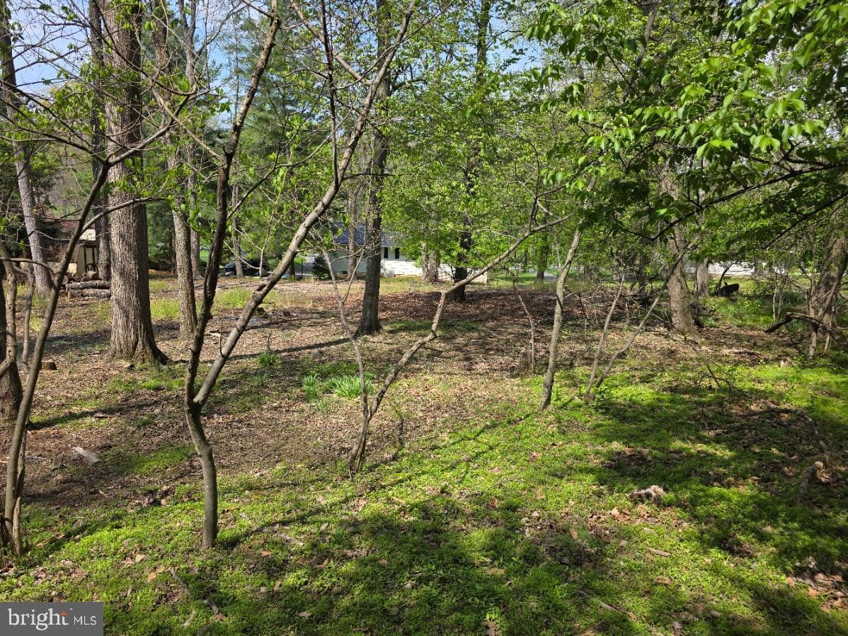 10984 Old Forge Road photo 68