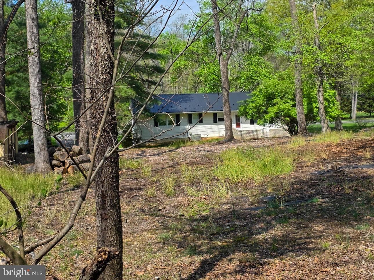 10984 Old Forge Road photo 9