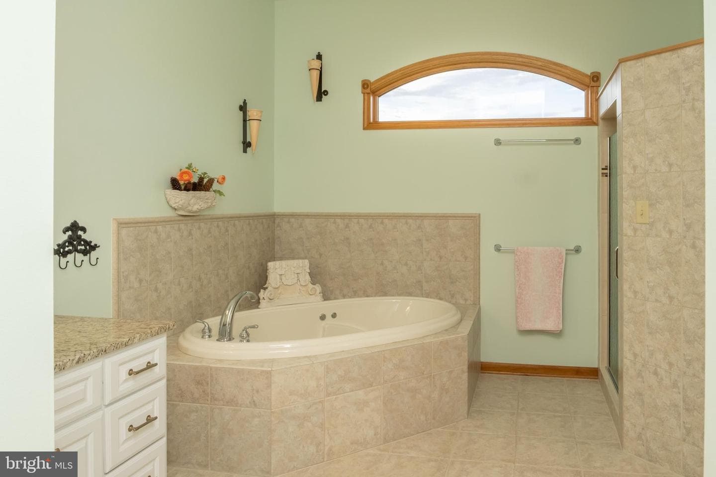 536 Remington Drive photo 34