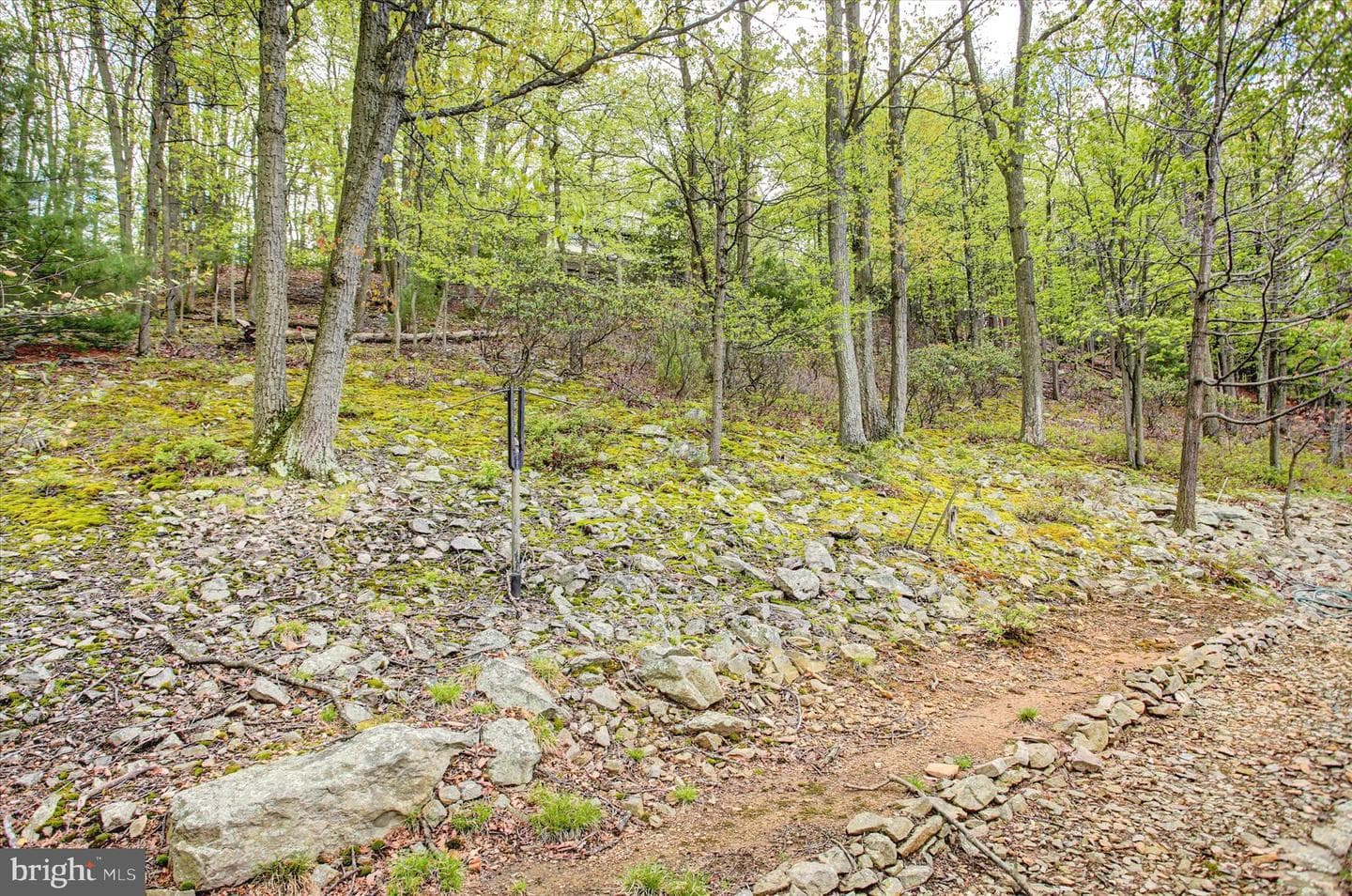232 Mount Union Road photo 38