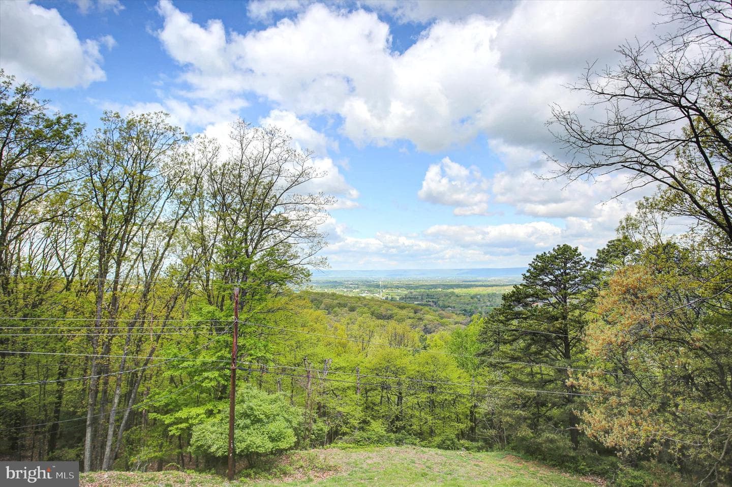 232 Mount Union Road photo 39