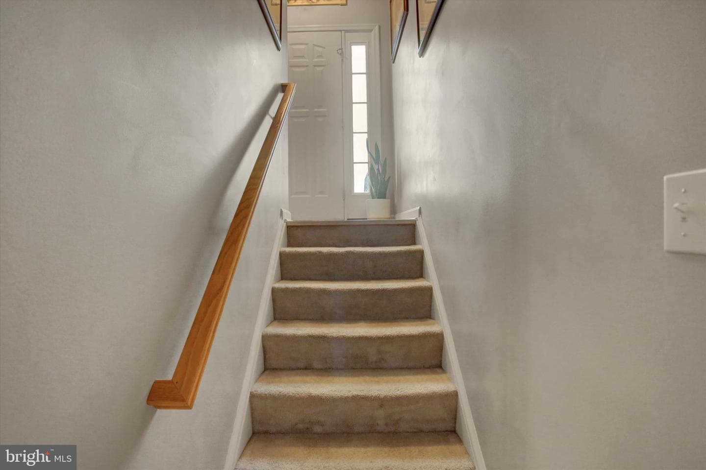 828 Essex Circle photo 17