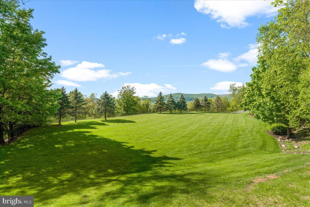 12565 Stone Crest Circle photo 113