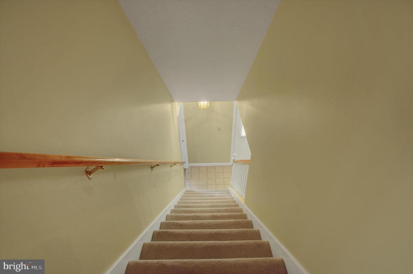 9495 Hesshire Hill Court photo 40