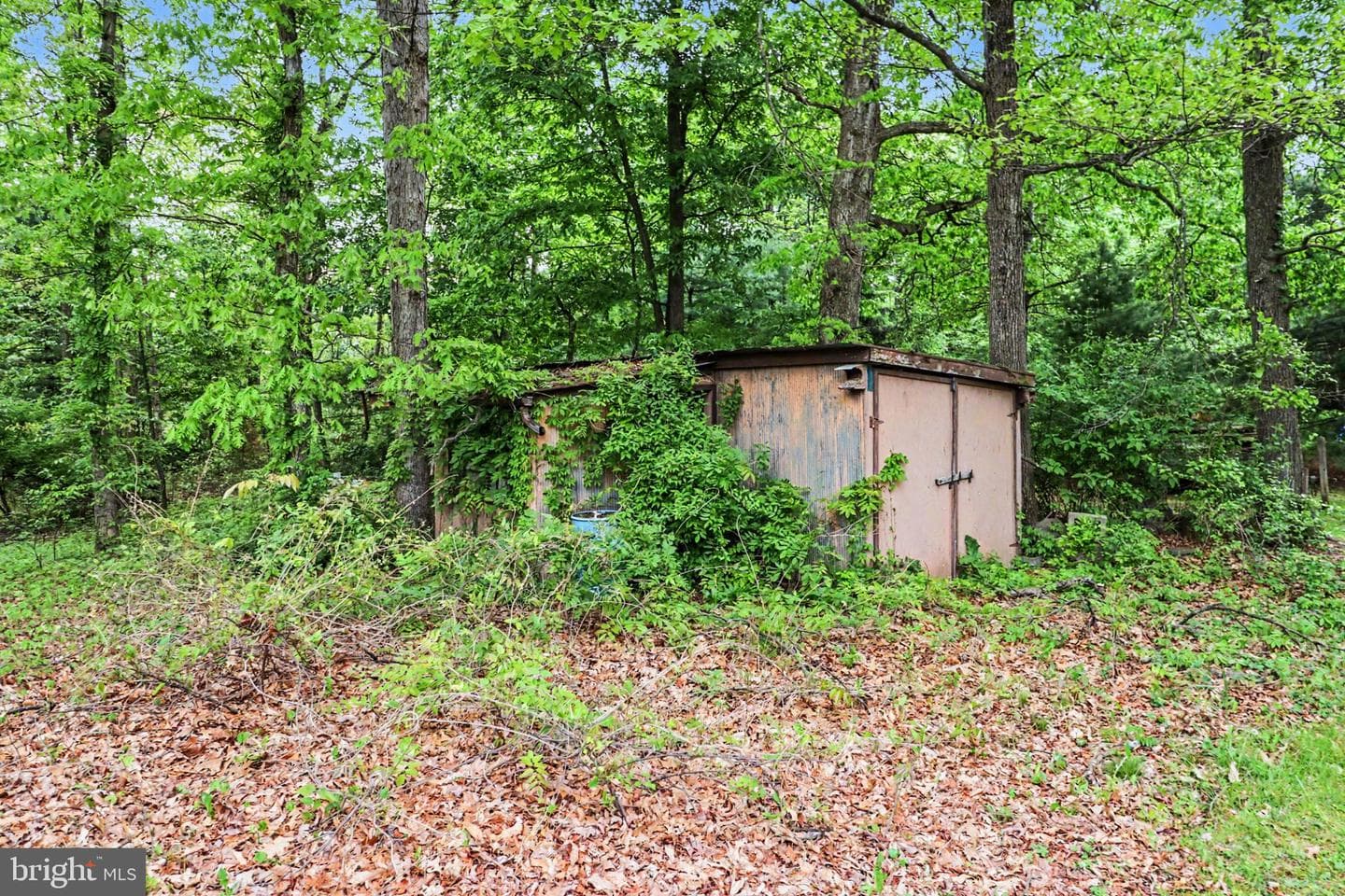 1121 Black Gap Road photo 29