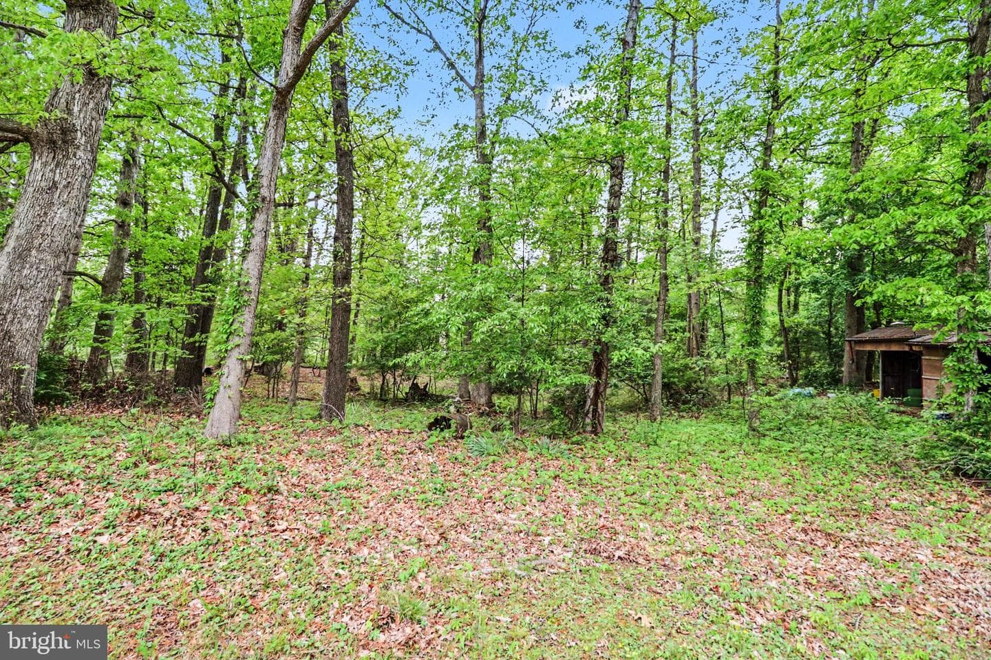 1121 Black Gap Road photo 30