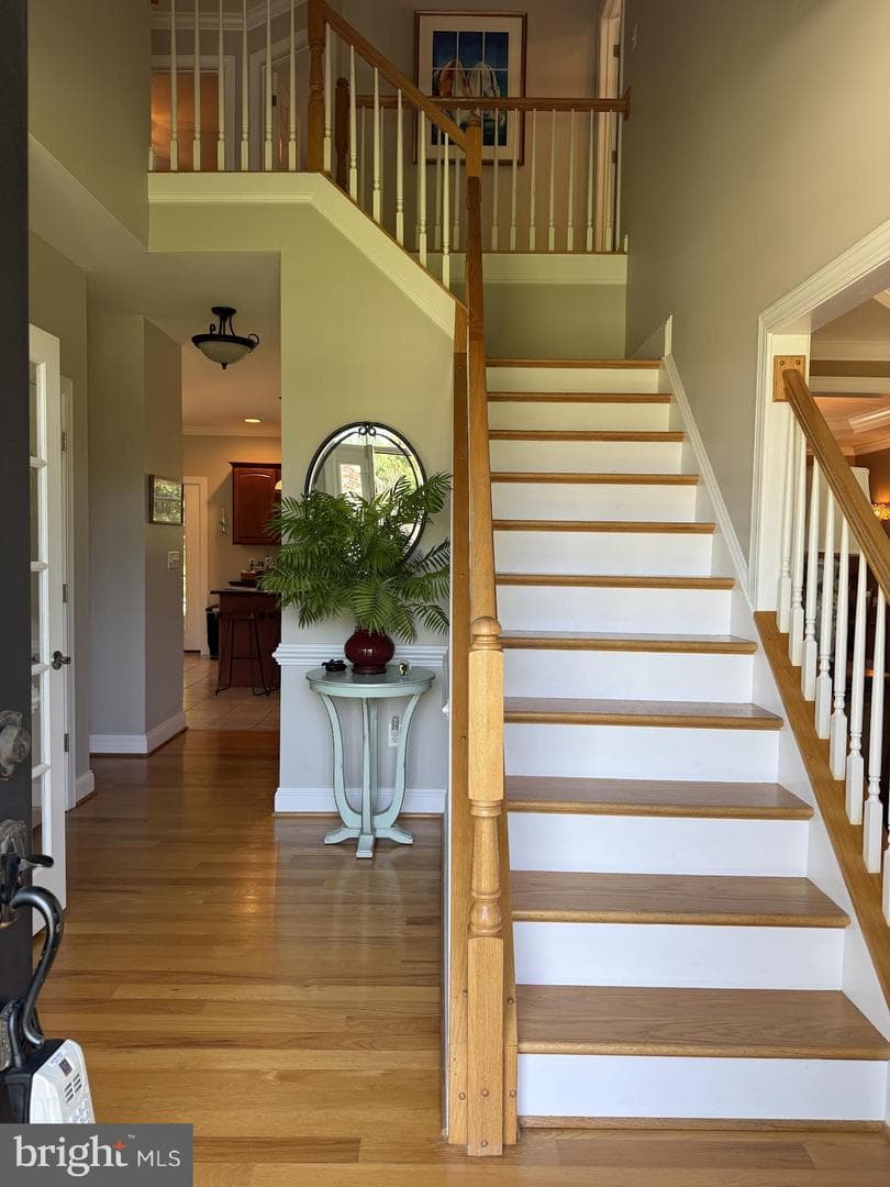 382 Moss Spring Avenue photo 6