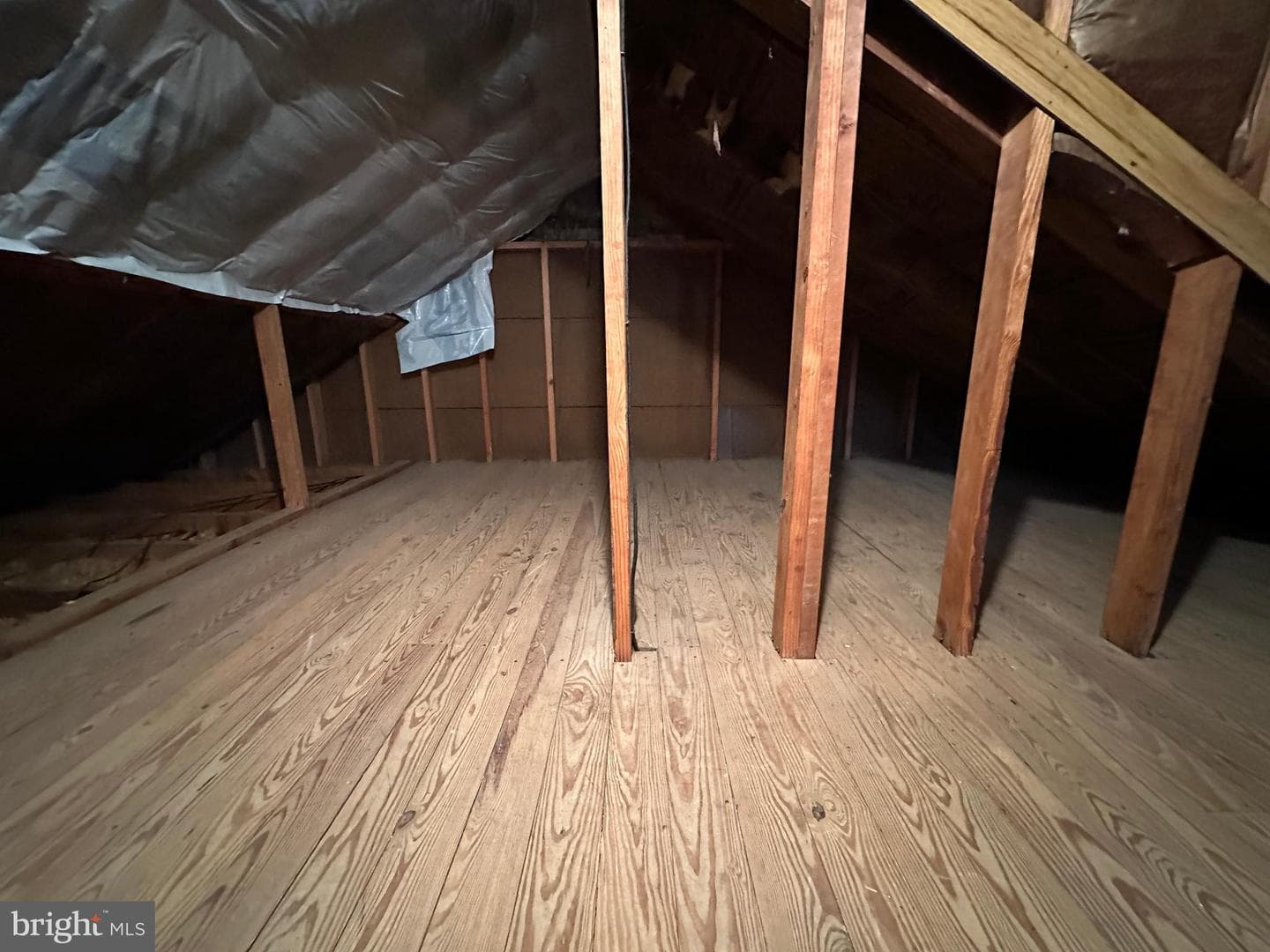 7224 Angle Road photo 67